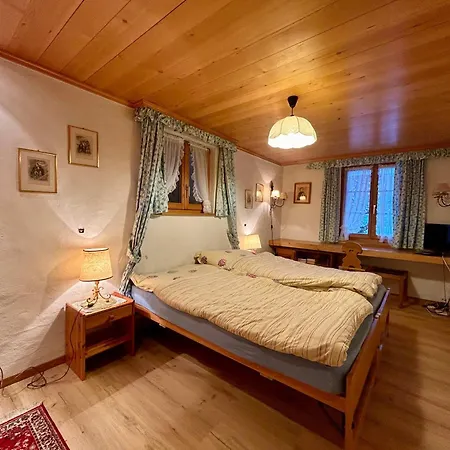 Blue Sky Holiday home Gstaad